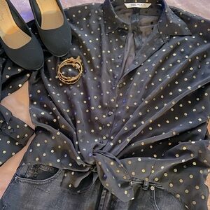 Zara Sheer Button Down Top